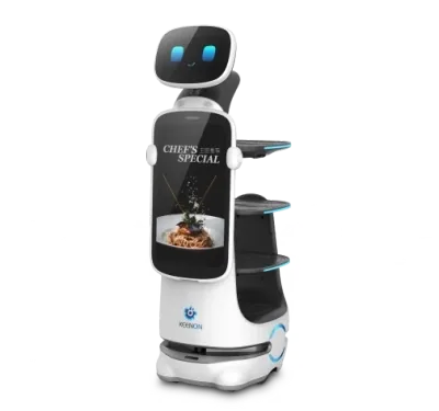 DINERBOT T10