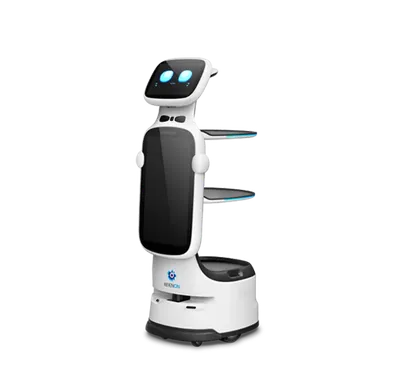 DINERBOT T11